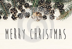 Merry Christmas text on modern christmas flat lay with green fir