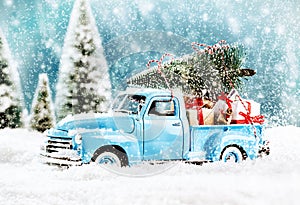Merry Christmas tree transporter photo