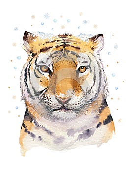 Merry Christmas watercolor lettering with isolated cute cartoon watercolor fun Siberian tiger illustration. Hand drawing