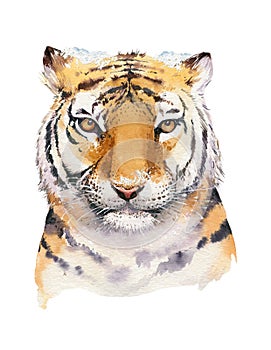 Merry Christmas watercolor lettering with isolated cute cartoon watercolor fun Siberian tiger illustration. Hand drawing