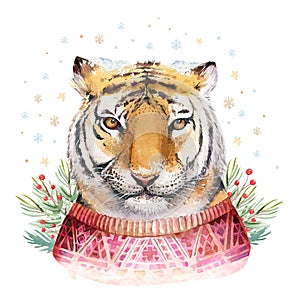 Merry Christmas watercolor lettering with isolated cute cartoon watercolor fun Siberian tiger illustration. Hand drawing