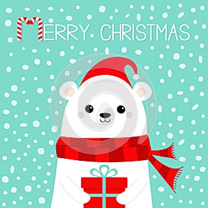 Merry Christmas. White polar bear cub face holding gift box present. Red Santa hat, scarf. Cute cartoon baby character. Happy New