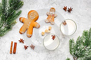 Merry christmas in winter evening with alcohol drink. Eggnog with gingerbread cookie, cinnamon and spruce on stone desk