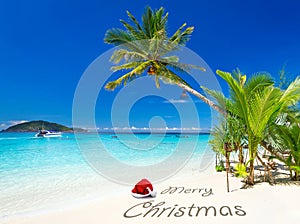 Merry Christmas wishes from the tropical beach