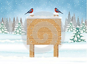 Merry Christmas Wooden Sign