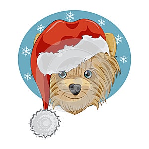 Merry Christmas Yorkshire terrier dog in santan cap sticker
