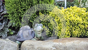 Merry faux turtle on a background of shrubs arborvitae and barberry