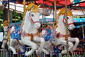 Merry-Go-Round