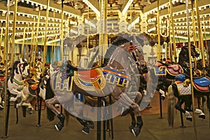 Merry-go-round carousel horses amusement park