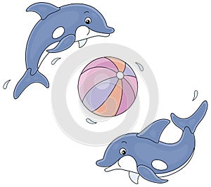 Merry little dolphins playing a big ball