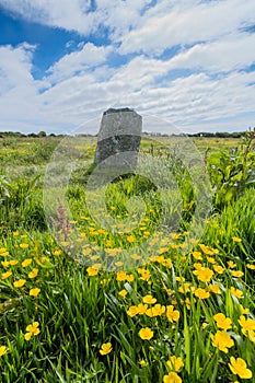 The merry maidens in the west of cornwall england uk