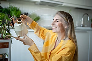 Merry plant lover woman doing household duties, taking care of potted houseplants, watering flowers