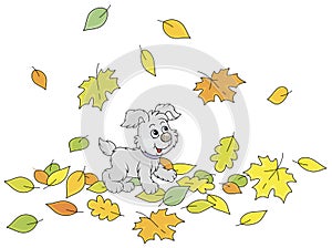 Merry pup walking on autumn leaves