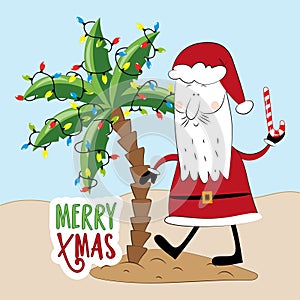Merry Xmas - funny greeting with Santa Claus in island and palm tree with christmas lights
