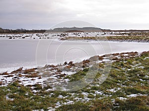 Mersehead RSPB reserve, Dumfries