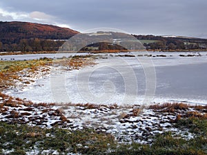 Mersehead RSPB reserve, Dumfries