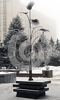 Mertsalova palm