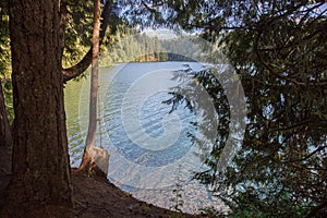 Merwin lake in Washington state