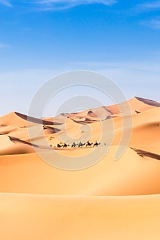 Merzouga in the Sahara Desert in Morocco