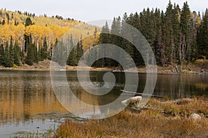 Mesa Lakes on the Grand Mesa in Autumn