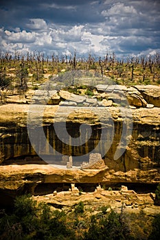 Mesa Verde photo