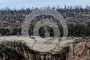 Mesa verde national park - cliff dwelling in desert mountain lan