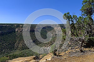 Mesa Verde National Park photo