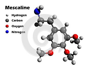 Mescaline 3D model