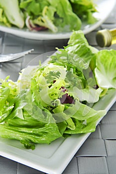 Mesclun