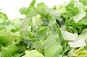 Mesclun, a mix of assorted salad leaves