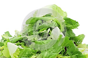 Mesclun, a mix of assorted salad leaves