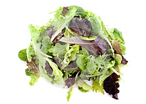 Mesclun salad