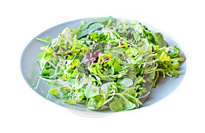 Mesclun salad from arugula, mache, radicchio, etc