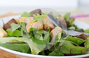 Mesclun salad