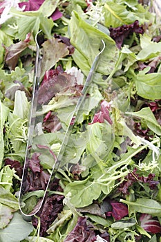 Mesclun salad mix with tongs