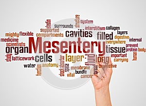 Mesentery word cloud and hand with marker concept