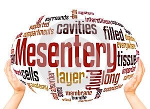 Mesentery word cloud sphere concept