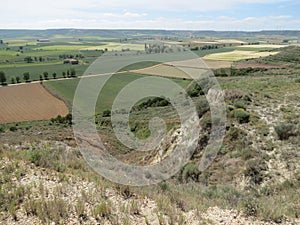 Meseta landscape around Castrojeriz photo