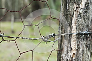 Mesh and barbed wire to enclose cattle