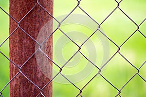 A mesh cage in a garden and a rusty pole with green grass as a background. Metal fence with wire mesh. Blurred view of the