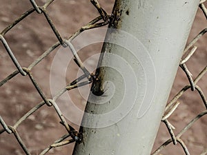 Mesh fence background.Grid iron grates, Grid pattern, steel wire mesh fence wall background, Chain Link Fence with White.