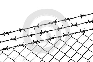 Mesh fence and barbed wire on a white background. Concept of isolation of emigrants. With place for your text photo