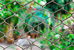 Mesh Fence with Blurred Background