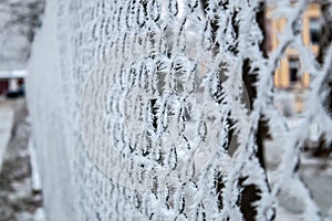 Mesh fence in ice in winter