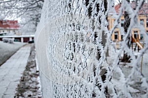 Mesh fence in ice in winter