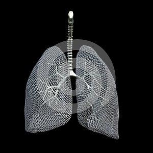 Mesh Lungs photo