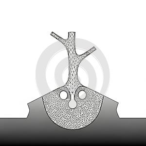 Mesh pattern consists of interconnected polygons, forming a network