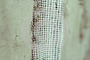 Mesh for plastering