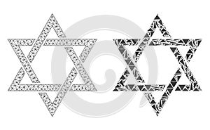 Polygonal Carcass Mesh David Star and Mosaic Icon