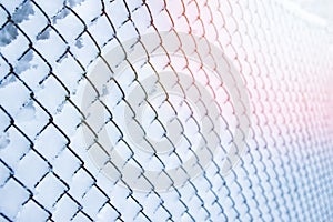 Mesh in winter on nature in park background